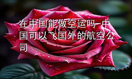 在中国能做空运吗-中国可以飞国外的航空公司