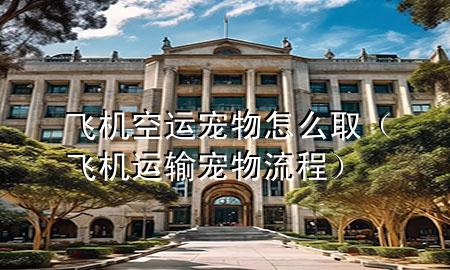 飞机空运宠物怎么取(飞机运输宠物流程)