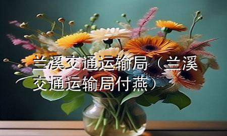 兰溪交通运输局（兰溪交通运输局付燕）