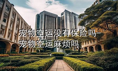 宠物空运没有保险吗-宠物空运麻烦吗