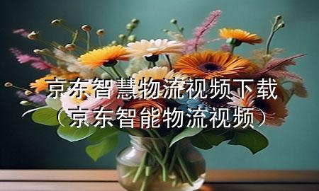 京东智慧物流视频下载(京东智能物流视频)