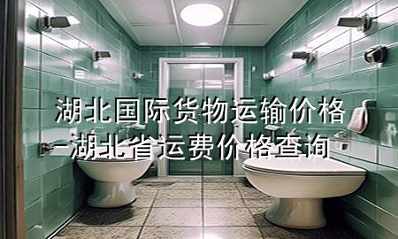 湖北国际货物运输价格-湖北省运费价格查询