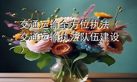 交通运输全方位执法(交通运输执法队伍建设)