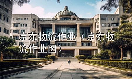 京东物流作业(京东物流作业图)