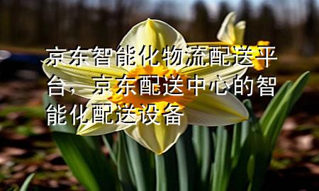 京东智能化物流配送平台,京东配送中心的智能化配送设备