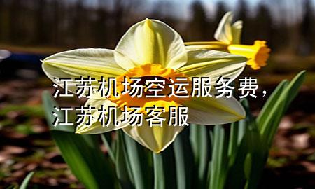 江苏机场空运服务费,江苏机场客服