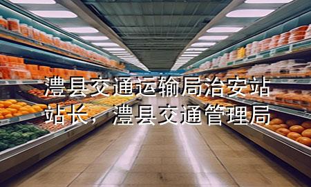 澧县交通运输局治安站站长,澧县交通管理局