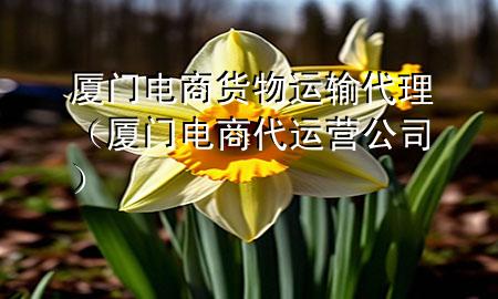 厦门电商货物运输代理（厦门电商代运营公司）