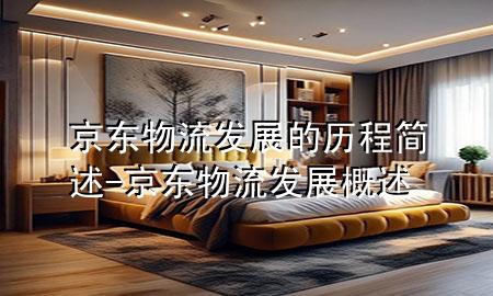 京东物流发展的历程简述-京东物流发展概述