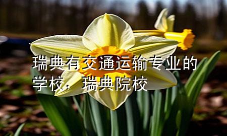 瑞典有交通运输专业的学校,瑞典院校