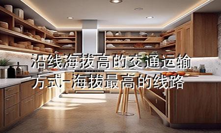 沿线海拔高的交通运输方式-海拔最高的线路