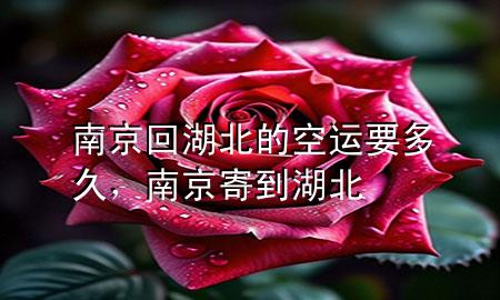 南京回湖北的空运要多久,南京寄到湖北