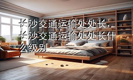长沙交通运输处处长,长沙交通运输处处长什么级别