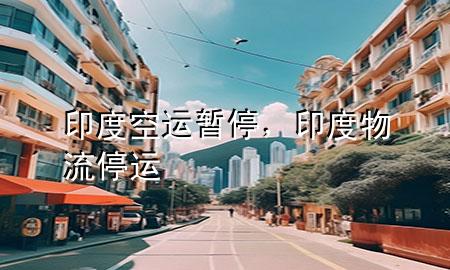 印度空运暂停,印度物流停运