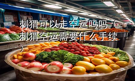 刺猬可以走空运吗吗(刺猬空运需要什么手续)