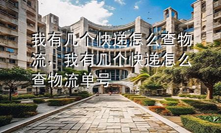 我有几个快递怎么查物流,我有几个快递怎么查物流单号