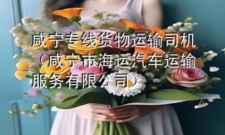咸宁专线货物运输司机(咸宁市海运汽车运输服务有限公司)