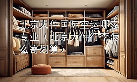 北京大件国际空运哪家专业(北京大件行李怎么寄划算)