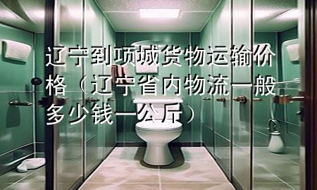 辽宁到项城货物运输价格(辽宁省内物流一般多少钱一公斤)
