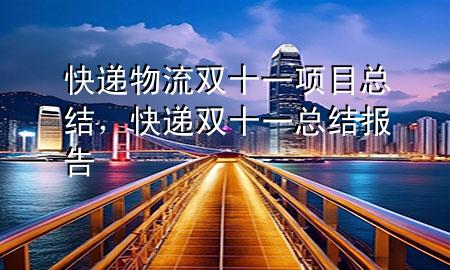 快递物流双十一项目总结,快递双十一总结报告