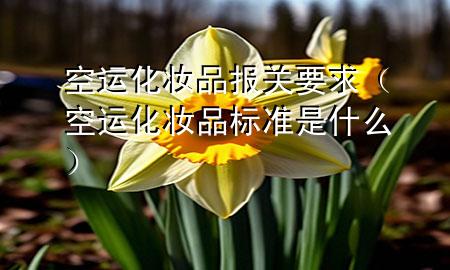 空运化妆品报关要求(空运化妆品标准是什么)
