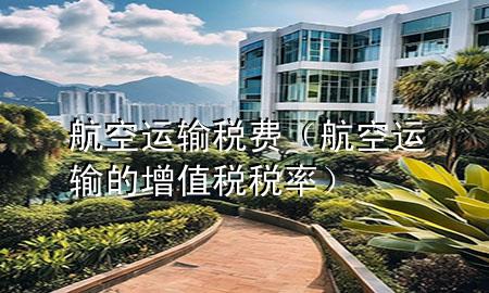 航空运输税费(航空运输的增值税税率)