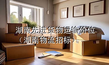 湖南先进货物运输价位(湖南物流招标)