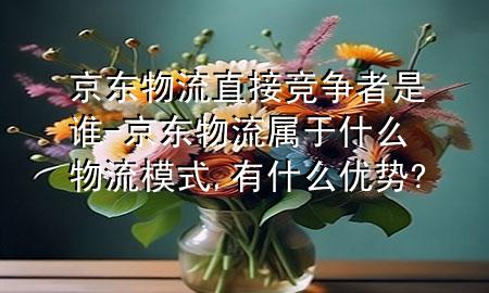 京东物流直接竞争者是谁-京东物流属于什么物流模式,有什么优势?