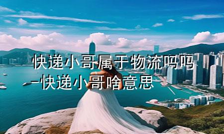 快递小哥属于物流吗吗-快递小哥啥意思