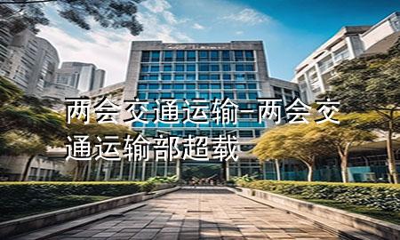 两会 交通运输-两会交通运输部超载