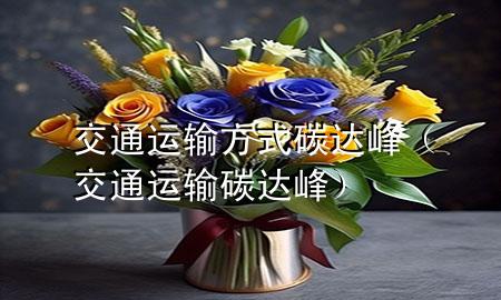 交通运输方式碳达峰(交通运输 碳达峰)
