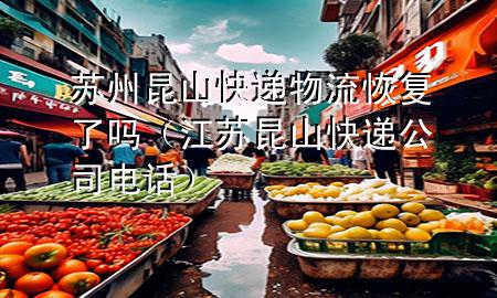 苏州昆山快递物流恢复了吗(江苏昆山快递公司电话)