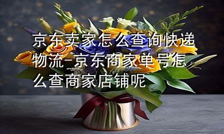 京东卖家怎么查询快递物流-京东商家单号怎么查商家店铺呢
