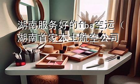 湖南服务好的fba空运(湖南首家本土航空公司)