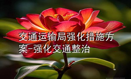 交通运输局强化措施方案-强化交通整治