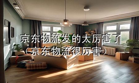 京东物流发的太厉害了(京东物流很厉害)
