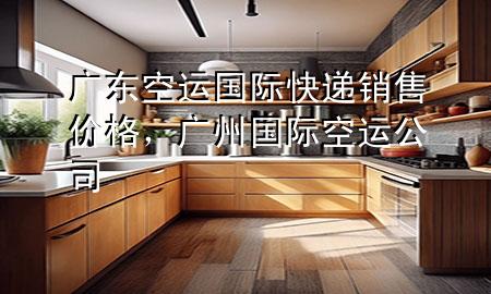 广东空运国际快递销售价格,广州国际空运公司