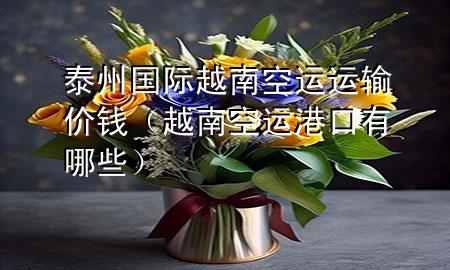 泰州国际越南空运运输价钱(越南空运港口有哪些)
