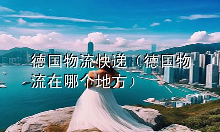 德国物流快递(德国物流在哪个地方)