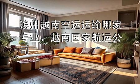 滨州越南空运运输哪家专业,越南国家航运公司