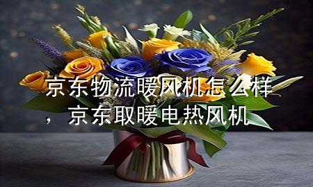 京东物流暖风机怎么样，京东取暖电热风机