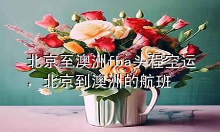 北京至澳洲fba头程空运,北京到澳洲的航班