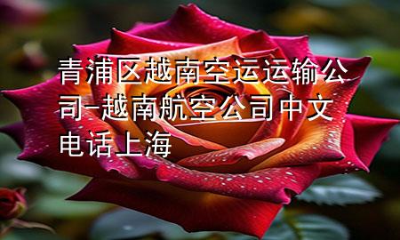 青浦区越南空运运输公司-越南航空公司中文电话上海