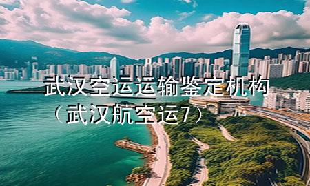 武汉空运运输鉴定机构(武汉航空运7)