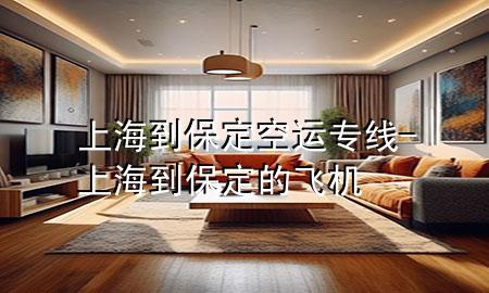 上海到保定空运专线-上海到保定的飞机