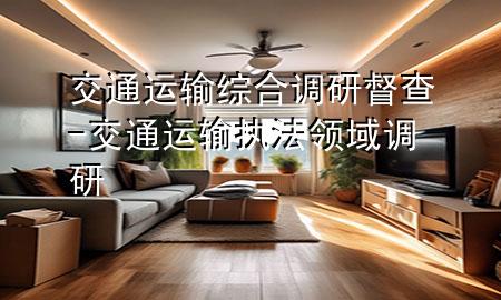 交通运输综合调研督查-交通运输执法领域调研