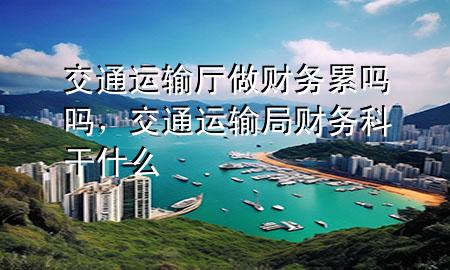 交通运输厅做财务累吗吗,交通运输局财务科干什么