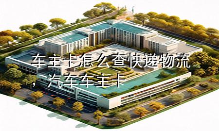 车主卡怎么查快递物流,汽车车主卡