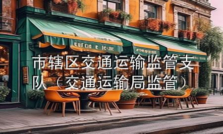 市辖区交通运输监管支队(交通运输局监管)