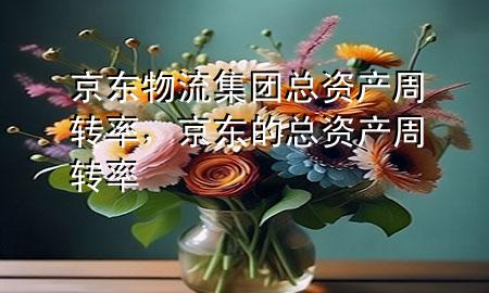 京东物流集团总资产周转率,京东的总资产周转率